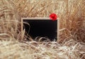 Black empty chalkboard for writing stands in a field with ripe ears of Golden wheat on a Sunny day Royalty Free Stock Photo