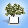 Black empty screen pc with money tree on gradient background 3d Royalty Free Stock Photo