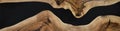Black epoxy resin panel with walnut Royalty Free Stock Photo