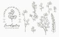 Black eucalyptus logo collection with leaves,geometric.Vector illustration for icon,logo,sticker,printable and tattoo