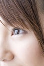 Black eye of Japanese Royalty Free Stock Photo