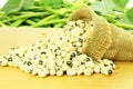 Black eye peas beans in jute bag with fresh green beans closeup Royalty Free Stock Photo