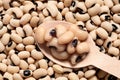 Black-eyed beans Royalty Free Stock Photo