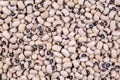 Black-eyed Beans texture background. Cowpea beans. Royalty Free Stock Photo