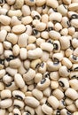 Black-eyed Beans texture background. Cowpea beans. Dried legumes Royalty Free Stock Photo