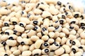 Black Eyed Peas Royalty Free Stock Photo