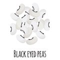 Black eyed peas beans for template farmer market design, label and packing. Natural energy protein organic super food