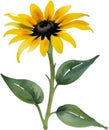 Black-Eyed Susan clipart. A cute Black-Eyed Susan flower icon. AI-Generated.