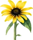 Black-Eyed Susan clipart. A cute Black-Eyed Susan flower icon. AI-Generated.
