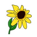 Black eyed susan flower illustration vector isolated