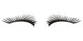 Black eyelashes icon on a white background