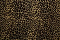 Black fabric with golden leopard fur print