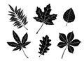 Black fall leaves silhouettes