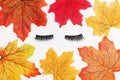 Black false eyelash on white background with autumn falling leaves Royalty Free Stock Photo