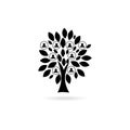 Black Family tree symbol icon logo design template Royalty Free Stock Photo