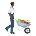 Black Farmer Pushing Wheelbarrow full of Organic Vegetables