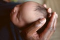 Black father holding newborn baby Royalty Free Stock Photo