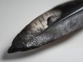 black feather close-up: detailed texture, dark background, sharp focus Royalty Free Stock Photo