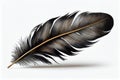 Black Feather Isolated, Swan Plume, Dark Gray Bird Feathers, Abstract Generative AI Illustration Royalty Free Stock Photo