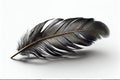 Black Feather Isolated, Swan Plume, Dark Gray Bird Feathers, Abstract Generative AI Illustration Royalty Free Stock Photo