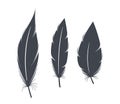 Black Feather Silhouettes. Elegant, Intricate Bird Plumes In Shadow, Capturing Graceful Contours, For Artistic Designs
