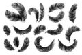 Black feathers. Realistic fluffy swan feathers, vintage isolated quill silhouettes, vector angel or bird twirled