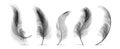 Black Feathers Set Vector. Feather Bird, Soft Plume Design. Isolated Illustration Royalty Free Stock Photo