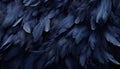 Black feathers texture background digital art with highly detailed, large bird feathers