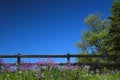 Black fence and blue sky