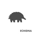 Black figure of echidna.