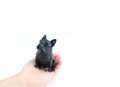 Black figurine pug dog figurine on a child`s palm , isolated on white background, copy space