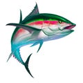 Black fin tuna. Realistic isolated illustration.