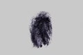 Black finger print on white background. Royalty Free Stock Photo