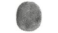 Black fingerprint icon isolated on white background. Digital identification, forensic science, and biometric security concept. Royalty Free Stock Photo