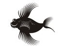 Black fish