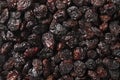 Black flame raisins from Chili full frame close up