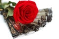 Black flamenco fan and red rose Royalty Free Stock Photo