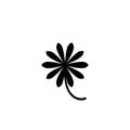 Black flat icon of daisy flower. Isolated on white. Vector illustration. Eco style. Royalty Free Stock Photo