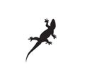 Black flat icon of gecko on white background