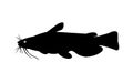 Bullhead catfish silhouette