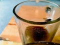 The black flies is perching on the top side of the transparent glass occurs in the wooden table