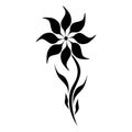 Black Floral Flower Decorative Small Leafs Design Hand Drawn Artistic