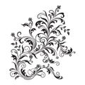 Black floral ornament isolated Royalty Free Stock Photo