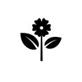 Black flower glyph icon. Isolated plant silhouette.