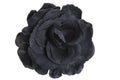 Black flower head rose