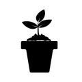 Black flower icon. Plant pot. Gardening plant. Isolated on white background. Vector Royalty Free Stock Photo