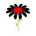 Black flower isolated. floret of sorrow and grief on white background