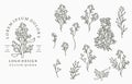 Black flower logo collection with leaves,geometric.Vector illustration for icon,logo,sticker,printable