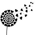 Black fluff dandelion heart shaped on white background Royalty Free Stock Photo