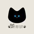 Black and fluffy cat with blue eyes. Kitten with a serious face. Vector illustration for t-shirt print with cat footprints and